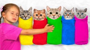 🐶 Угадай мордочку питомца 🐱