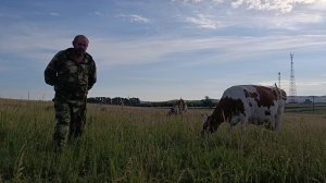 Чиним загоны/Май на свободе/Трудовые будни в деревне