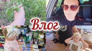 Влог🫣//Фикс прайс✔️//Бублик помощник😅//Заказы с ВБ и Озон👌
