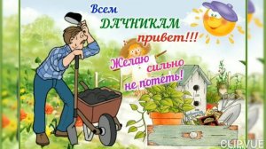 С ДОБРЫМ УТРОМ, ДОРОГИЕ ДАЧНИКИ И ДАЧНИЦЫ!!!