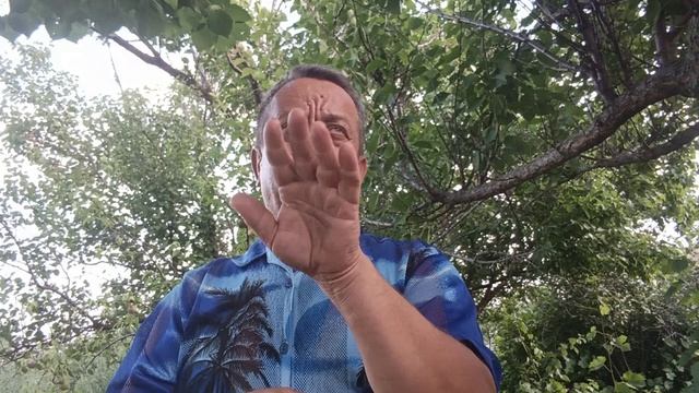 Волгоград новости