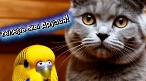 Кошки: мы тут главные, а вы просто кормите