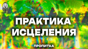 ПРАКТИКА ИСЦЕЛЕНИЯ | Пропитка
