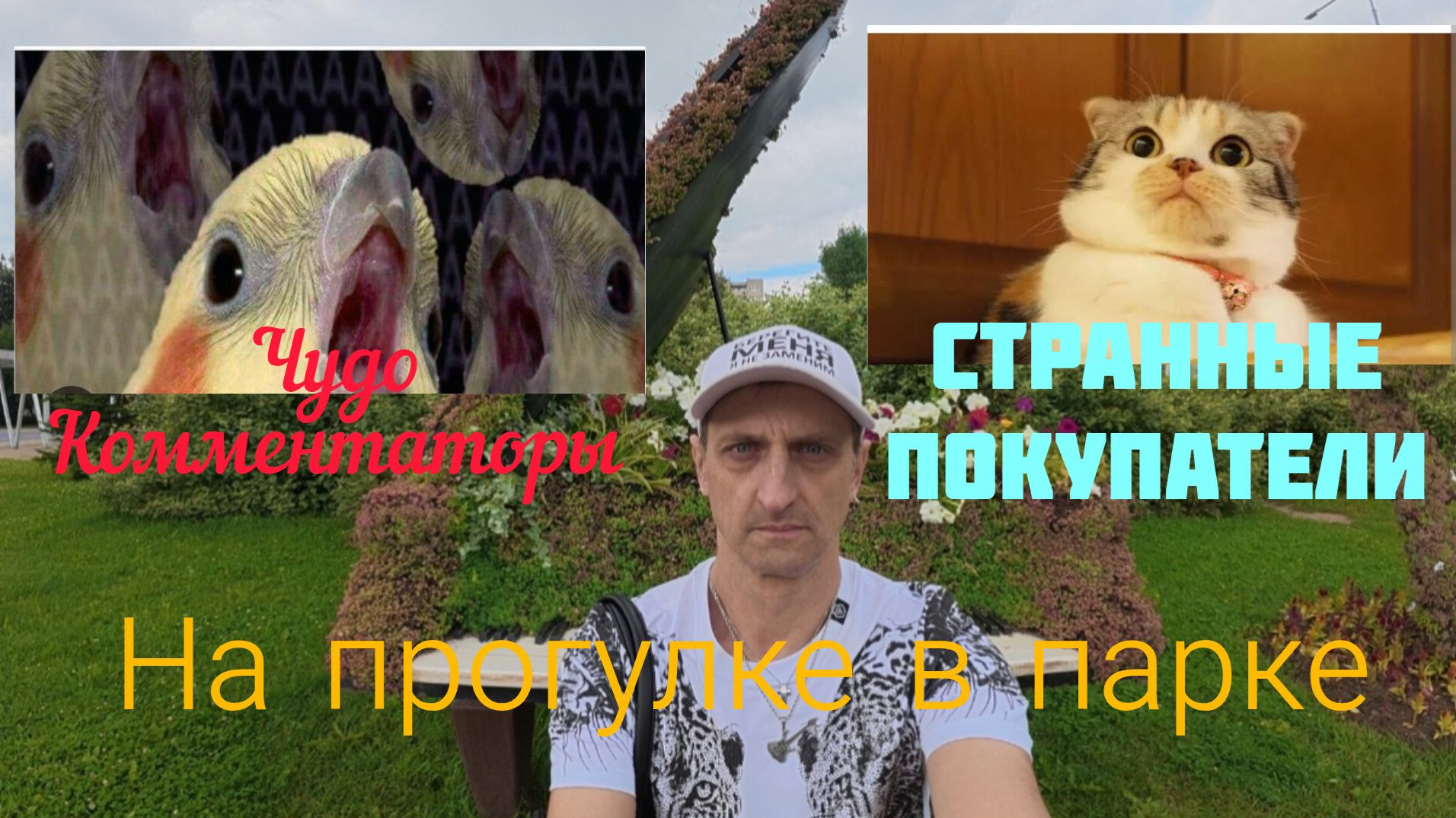 Чудо-Комментаторы. Странные клиенты. Об этом на прогулке.