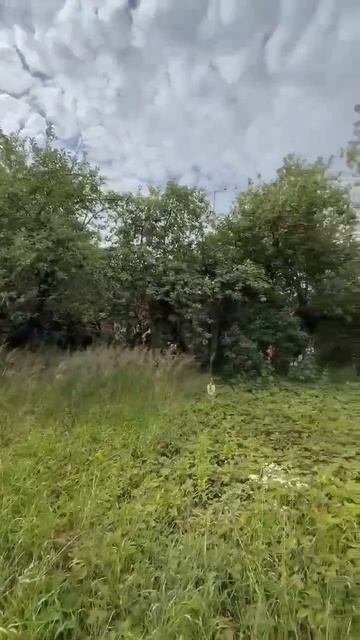 сальникова смотреть онлайн