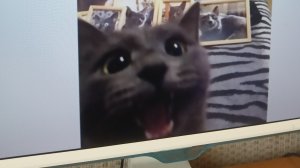 важно у меня Мах канал