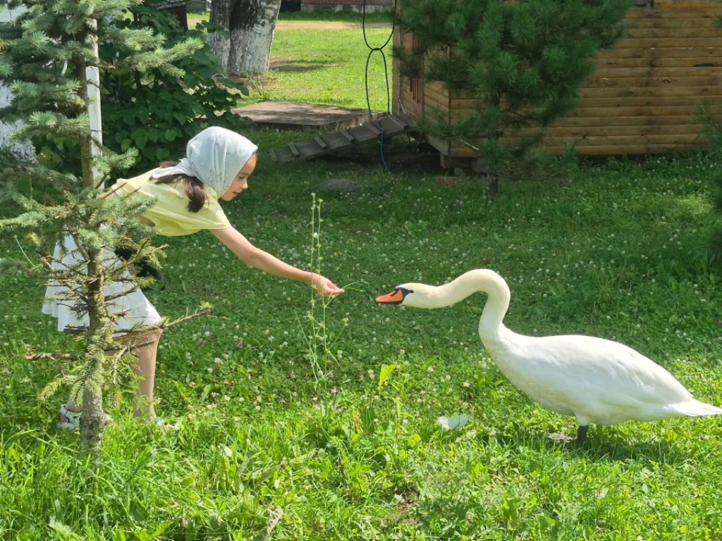 Доброе утро ♥️💕🍨 смотреть онлайн