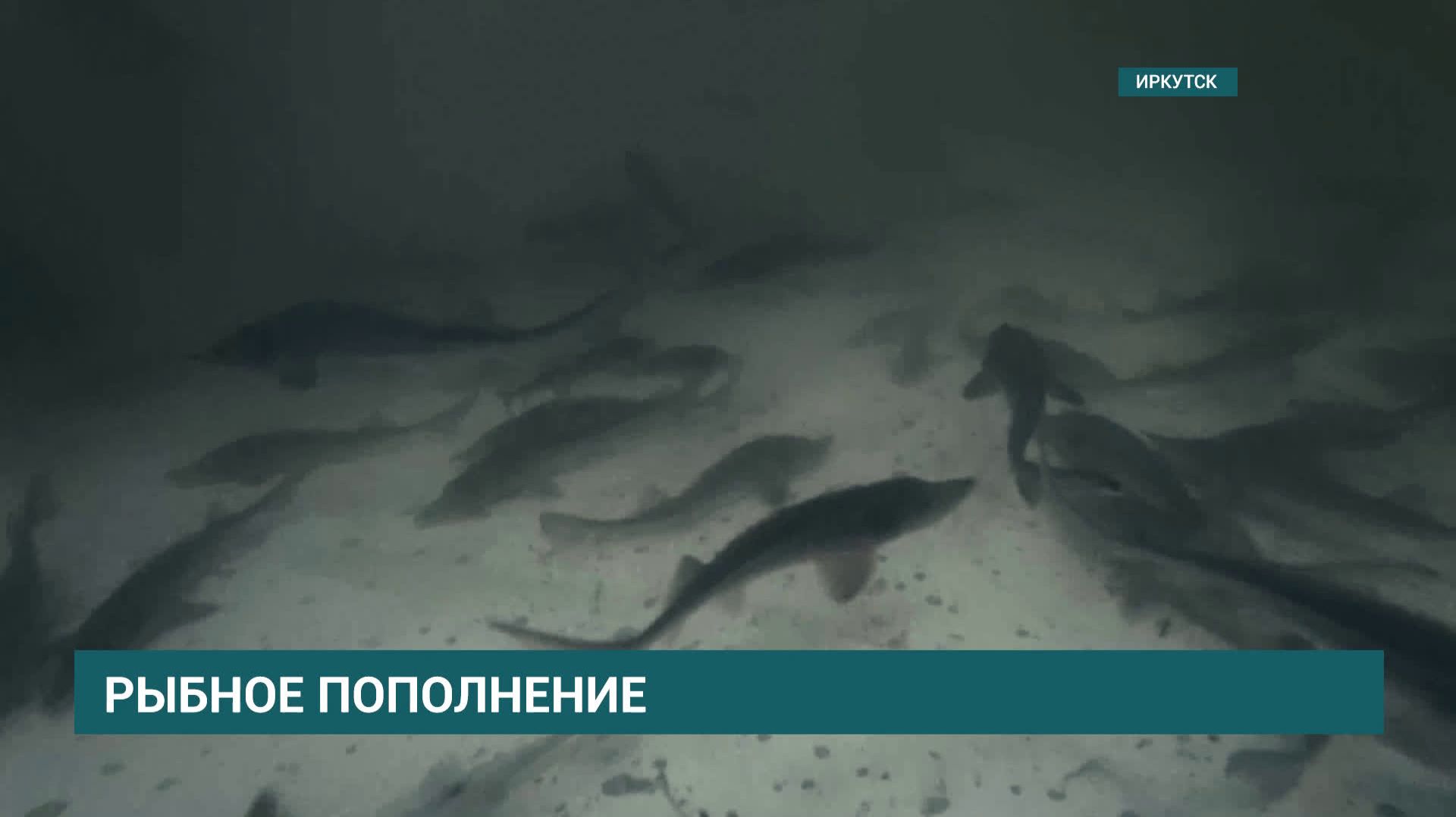 НОВОСТИ ″СЕЙ ЧАС″