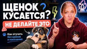 Щенок кусается до крови?🐶 Перестаньте делать эти 4 вещи