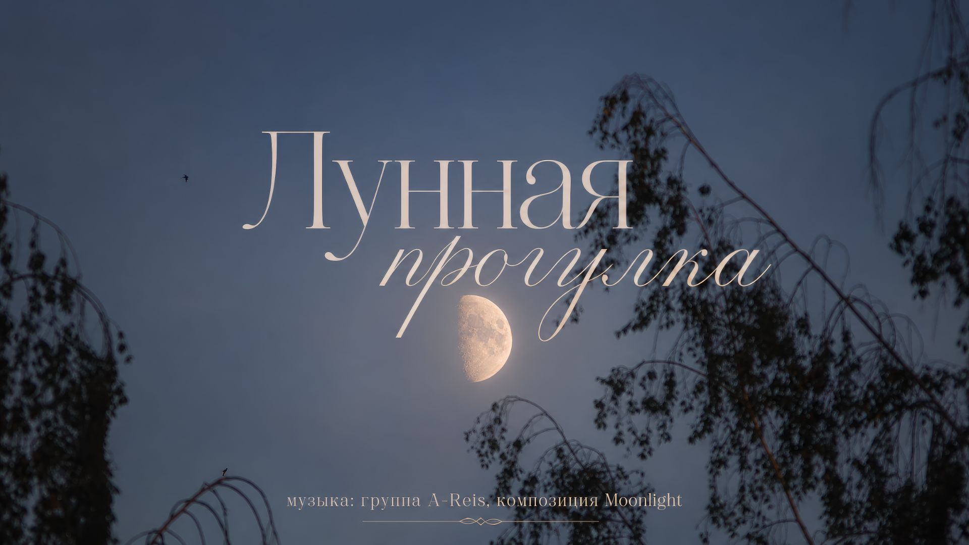 🌛 Лунная прогулка: ASMR, релакс, расслабляющая музыка