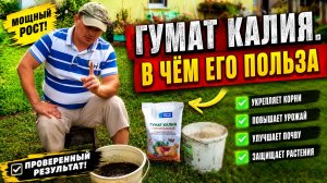 ГУМАТ КАЛИЯ. В чём его польза для растений и как правильно его применить.