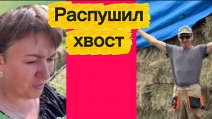 Распушил хвост.