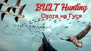 Охота на гуся с подхода...