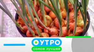 «Утро. Самое лучшее»: 22 июля 2026 года