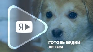 ГОТОВЬ БУДКИ ЛЕТОМ / Работники компании утеплили собачьи вольеры и угостили питомцев лакомствами