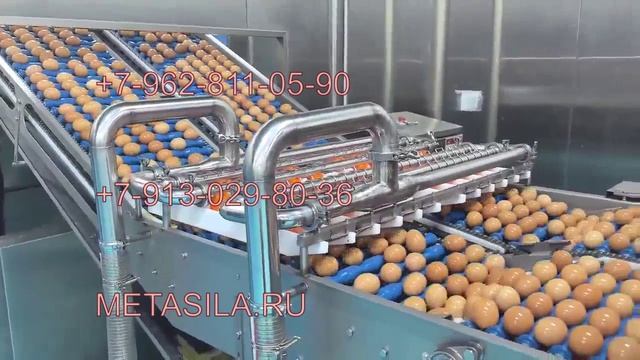 Линия переработки жидкого яйца E6