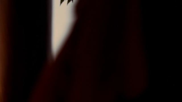 Дневники вампира — 1 сезон 2 серия / The Vampire Diaries Дневники вампира — 1 сезон 2 серия / The Vampire Diaries