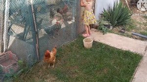 Волжане в ГОСТЯХ у ТЁТИ!  Скоро СНОВА в ДОРОГУ!