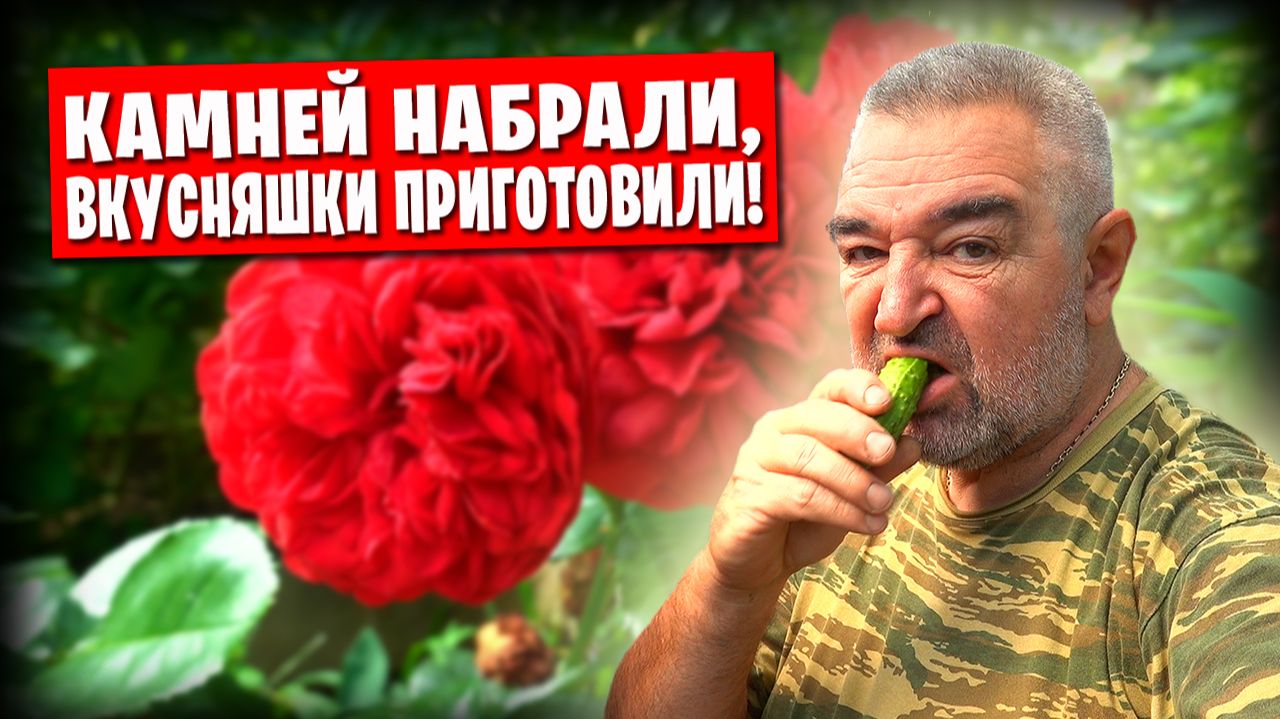 За камнями, на Донецкое море / Вкусняшка в казане / Огород и заготовки на зиму смотреть онлайн