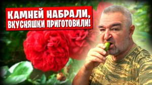 За камнями, на Донецкое море / Вкусняшка в казане / Огород и заготовки на зиму