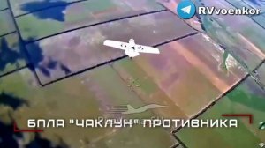 ‼️🇷🇺Кадры боёв: бойцы «Центра» уничтожают пехоту и технику врага в боях за Красноармейском и на Дн
