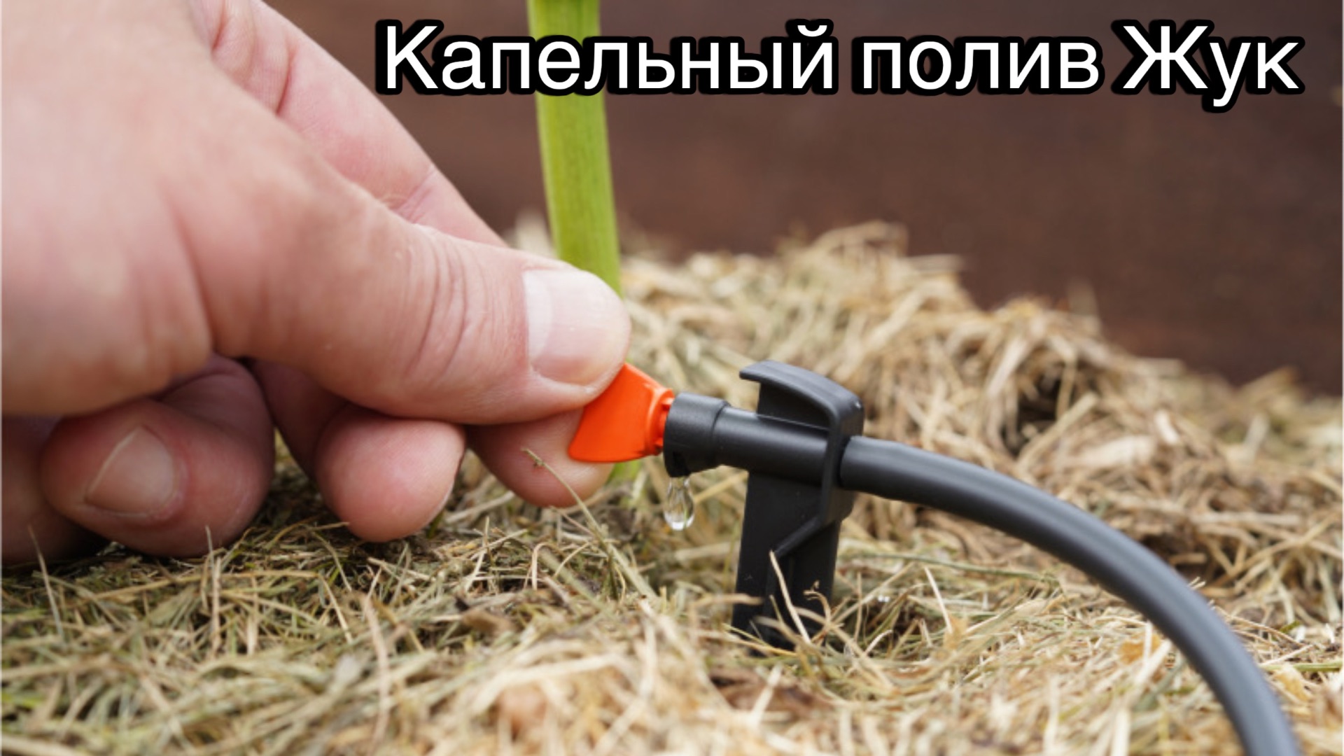 Капельный полив Жук. Не покупай набор, пока не посмотришь это видео