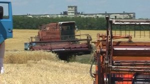 Уборка урожая в СПК «Станичный». 2008 год