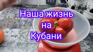 Живём и работаем на Кубани/ Наша жизнь на юге/ Купили солому/ Варю томатную пасту/ Окрошка/