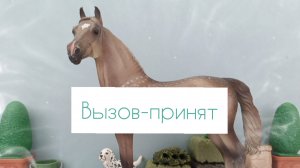 Будет Вызов-принят! Вся информация в этом видео