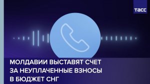 Молдавии выставят счет за неуплаченные взносы в бюджет СНГ