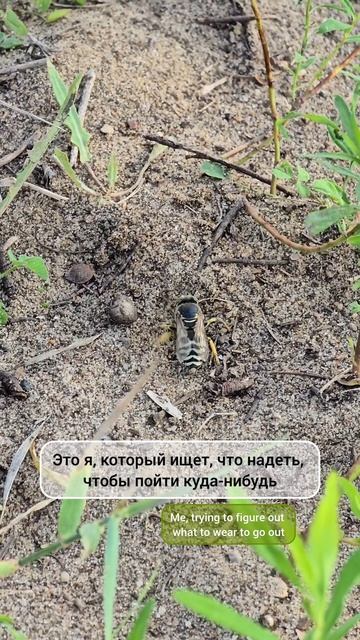 Смотреть до конца 