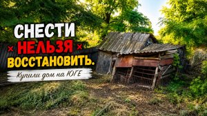 Убираем старые заборы. Расчищаем участок от мусора. КУПИЛИ ДОМ НА ЮГЕ #5
