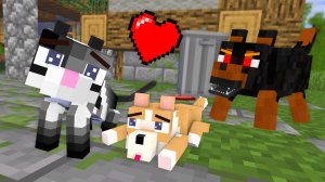 ГРУСТНАЯ ИСТОРИЯ КОТА И СОБАКИ В MINECRAFT! 😭🐱🐶