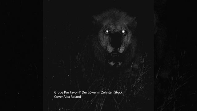 Grope Por Favor © Der Löwe Im Zehnten Stock - Cover Alex Roland смотреть онлайн