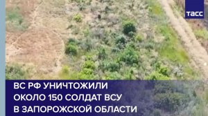 ВС РФ уничтожили около 150 солдат ВСУ в Запорожской области