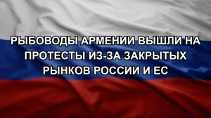 Рыбоводы Армении вышли на протесты из-за закрытых рынков России и ЕС