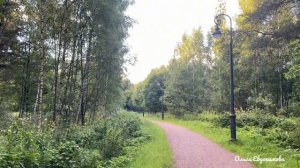 Лесопарк Александрино. Санкт-Петербург