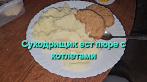 Суходрищик ест пюре с котлетами|Мукбанг|Обжор|Еда на камеру
