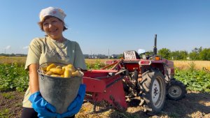 Жизнь на 28 Сотках: копаем картошку и вялим томаты | Первые заказы семян