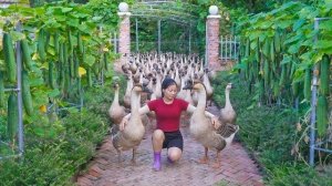 Продала гусей торговцам и купила новых для выращивания. Ли Фук Ви. Серия 123