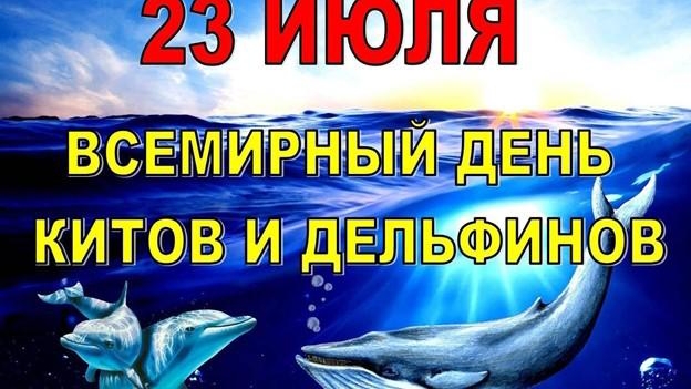 ДЕНЬ КИТОВ И ДЕЛЬФИНОВ - ПЕСНЯ ПРО ДЕЛЬФИНОВ