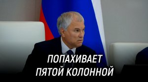 Попахивает пятой колонной. Володин в ходе обсуждения законопроекта о стабилизации топливного рынка