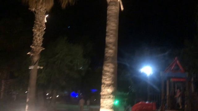 Я приехала в ТУРЦИЮ?! Мой новый влог с уточкой lalafanfan и теперь еще тюленем Виталием!
