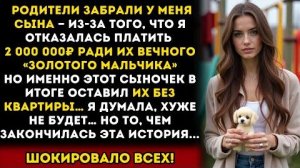 Истории из жизни: Мои родители похитили моего сына, но не знали, чем это закончится. Аудиокниги
