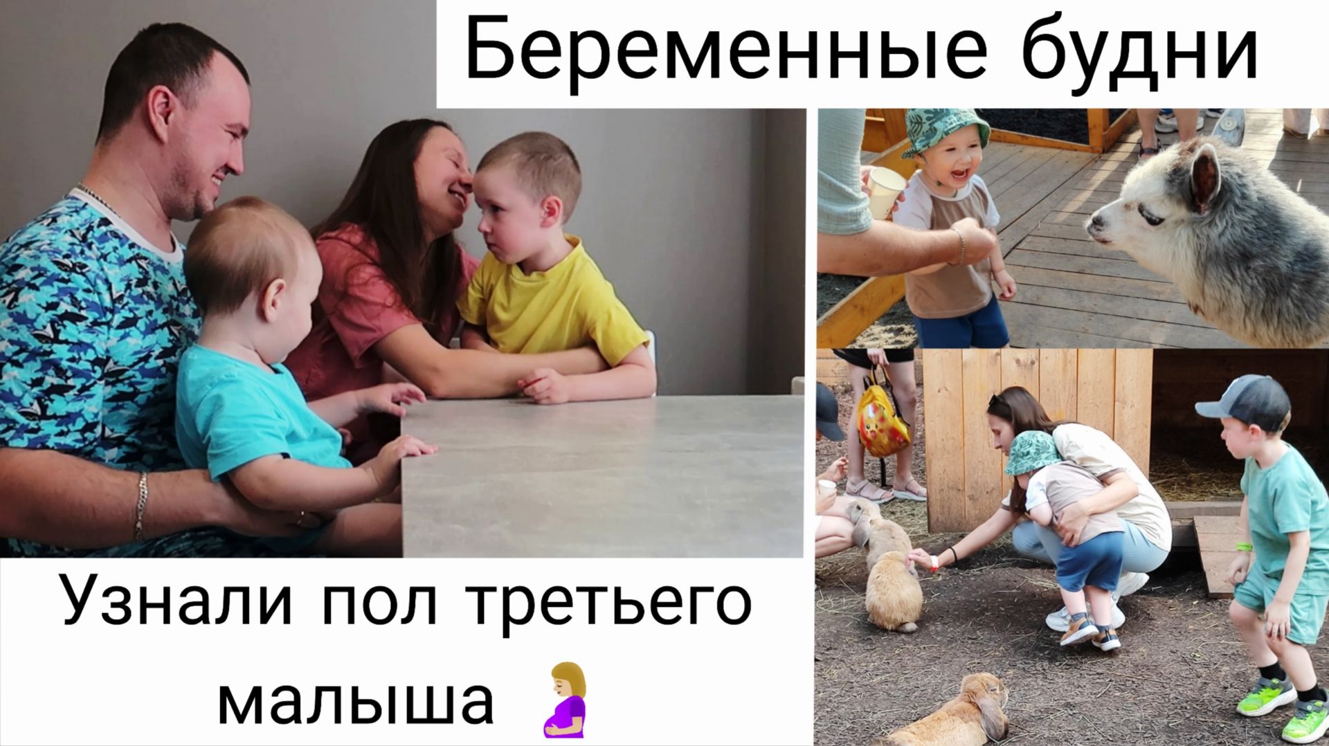 Второй Скрининг | Сходили в Парк Альпак 🙌| Мои Будни 🤰 смотреть онлайн