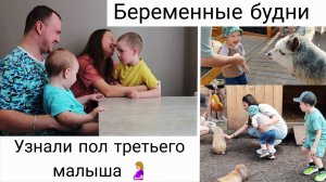 Второй Скрининг | Сходили в Парк Альпак 🙌| Мои Будни 🤰