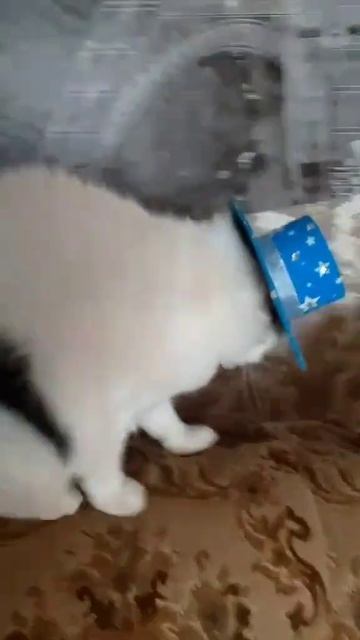 На дискотеку...)))