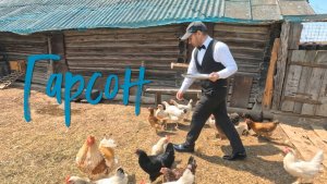 Гарсон.