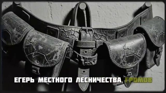 ТАЙГА. ТАЙНЫЙ ЛАГЕРЬ С ДЕВКАМИ посреди глухой тайги. Что они там скрывают. смотреть онлайн