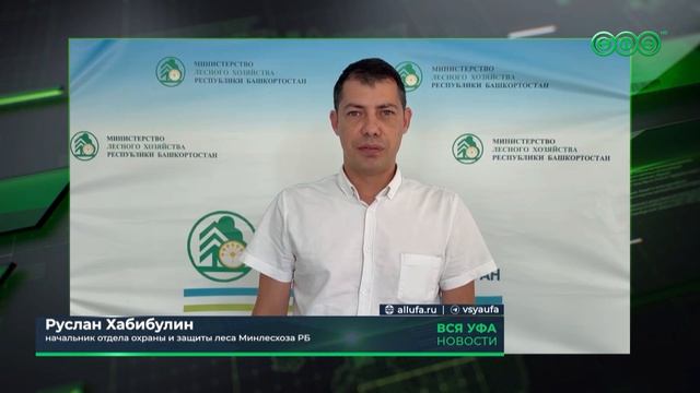 Более 70 камер будут защищать леса Башкортостана от пожаров смотреть онлайн